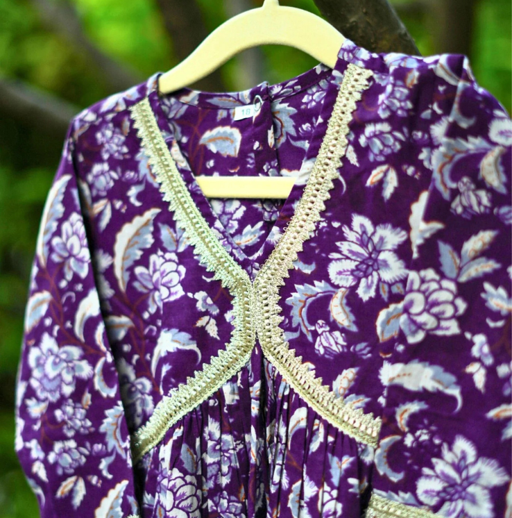 Festive Stylish Alia Style top